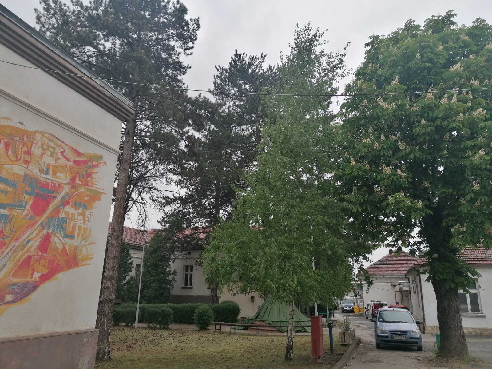 Preglede obavilo 216 Prokupčana