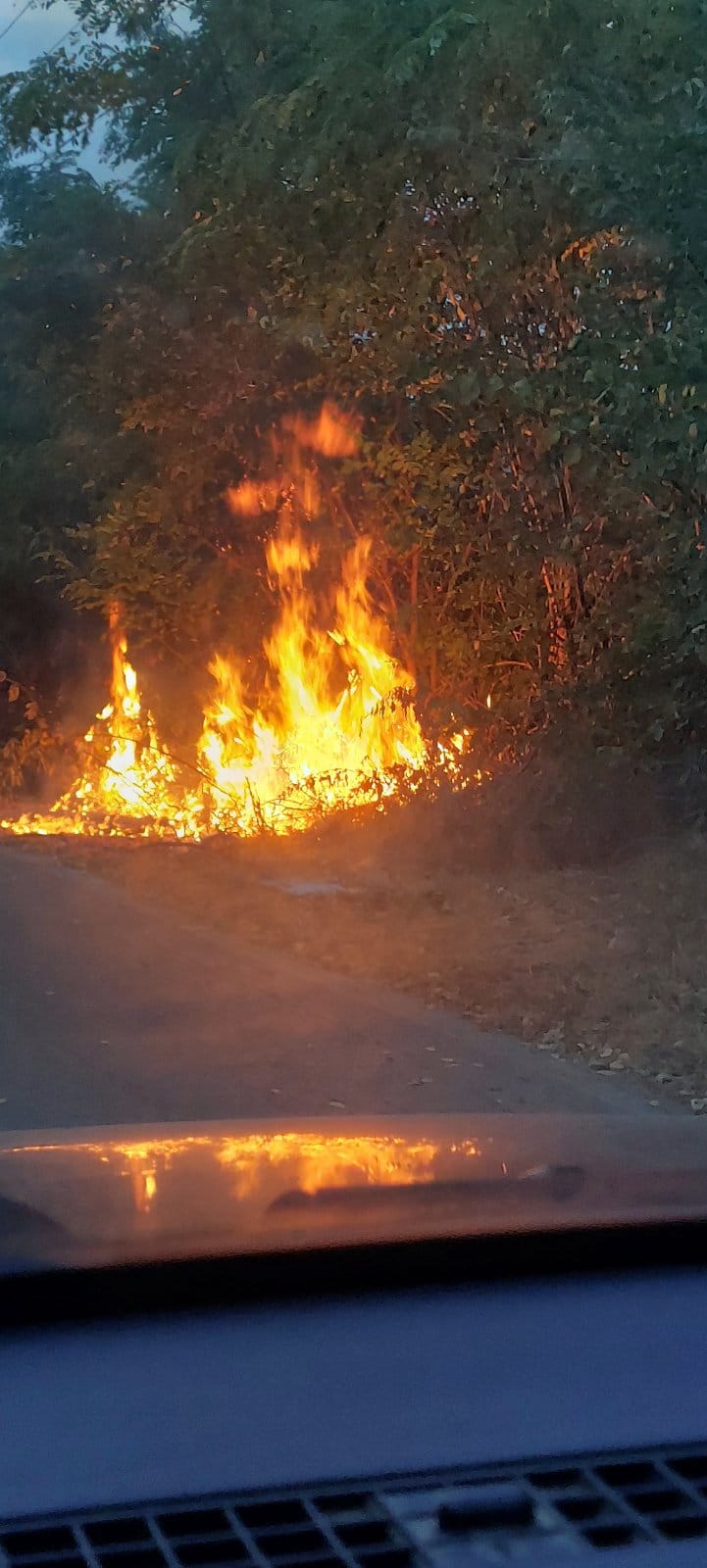 Požar i iznad Prokuplja