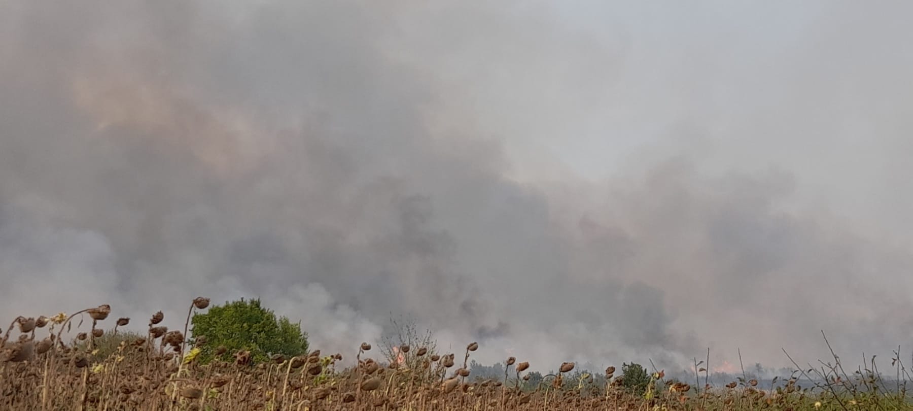 Kare u plamenu, požar stigao do Crnatova