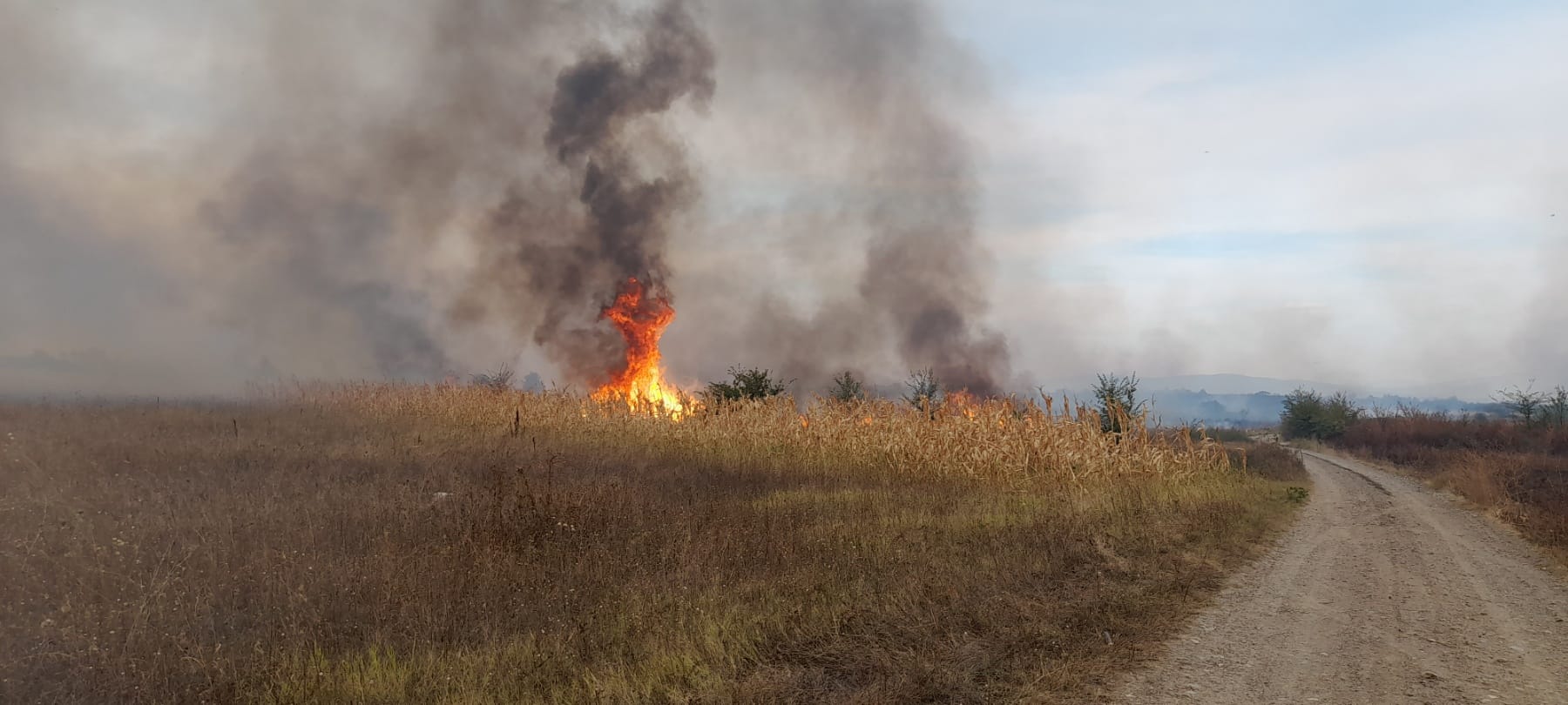 Požar kod groblja u Žitorađi