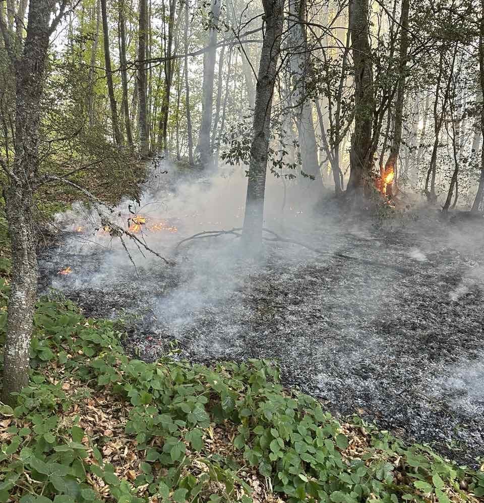 Uhapšen jer je u dvorištu palio travu