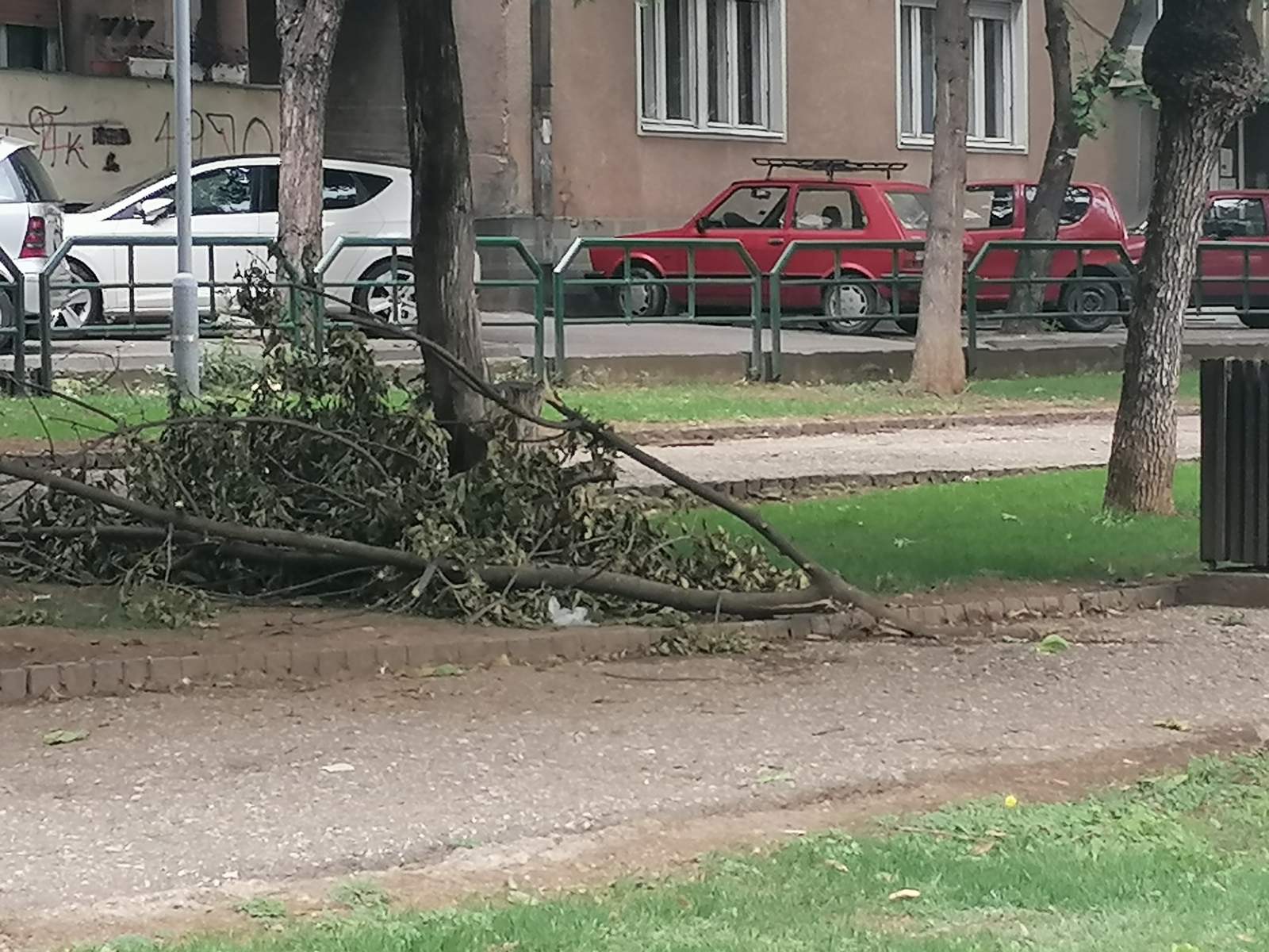 Pronašao torbicu punu para i dokumenata i odmah odneo u policiju, a tamo vlasnica!